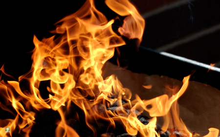 Barbecue Fire - flames, barbacue, food, cook, bbq, fire