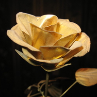  gold rose