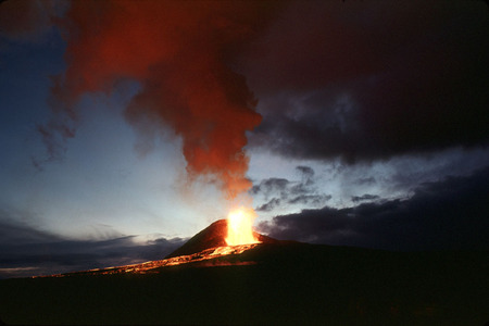 burning trees - flame, burning, tree