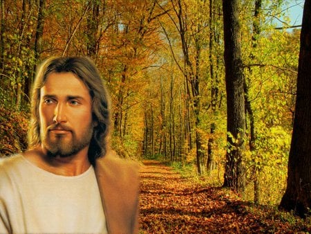 Jesus, the way - path, christ, jesus, autumn, religion, christianity, god, forest