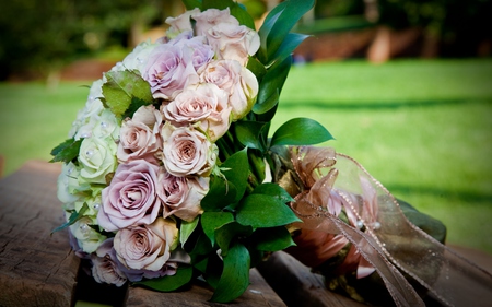 Roses - beauty, roses, photography, colorful, bouquet, still life, rose, with love, pretty, green, romance, grass, for you, lovely, nature, romantic, beautiful, flowers, colors