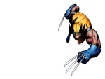 Wolverine