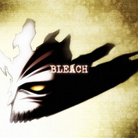 Bleach Hollow