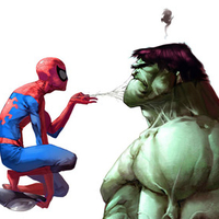 Spiderman vs Hulk