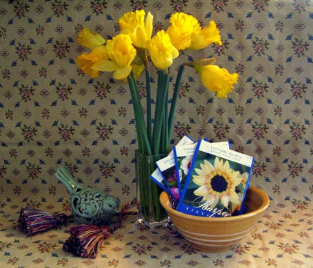 Imagining Spring - beautiful, flowers, spring, vase, yellow, still life, daffodils