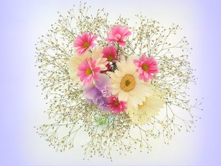 Gift of spring - flowers, white, purple, spring, bouquet, pink