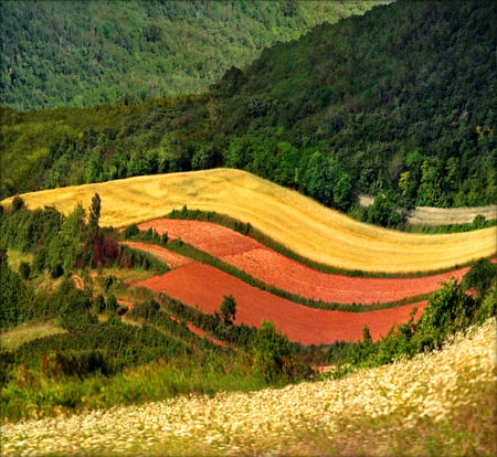 Mosaic - hill, beautiful, field, fullcolour, mosaic