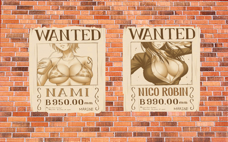 One Piece - one piece, want poster, nico robin, sexy, nami