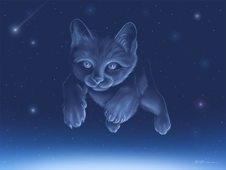 Constellation - Cats & Animals Background Wallpapers on Desktop Nexus ...