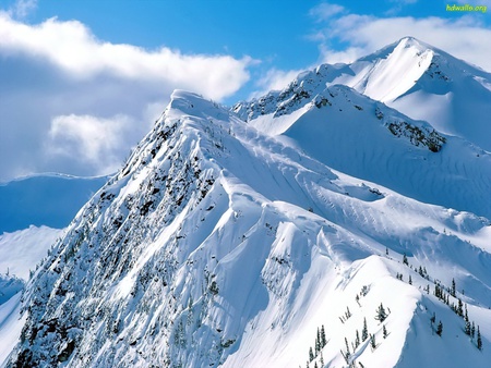 White Peaks - white, amaizing, montain, sky, blue, peaks