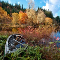 Abandoned Boat