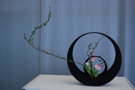 ikebana - tulips, beautiful, flowers, cherry, still life, branch, ikebana