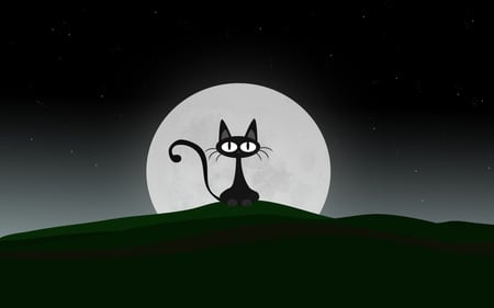 Moon Light - night, cat, moon light, meow