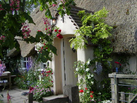 cottage doorway - flowers, doorway, windows, cottage