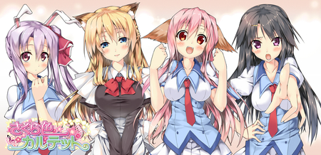 sepa - animal ears, long  hair, blonde hair, purple eyes, red eyes, black eyes, anime girls, pink hair, purple hair