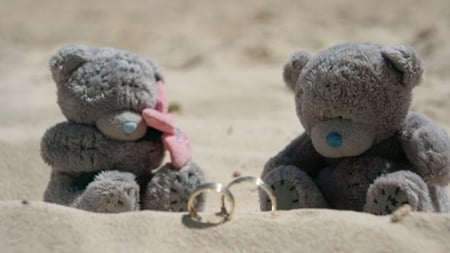 Love Bears - beach, rings, love, sand, bears