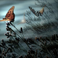 Butterflies over misty lake