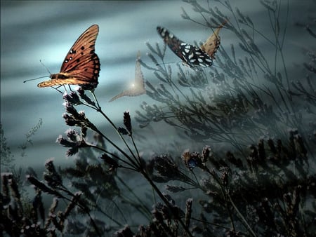 Butterflies over misty lake - lake, abstract, misty, butterflies