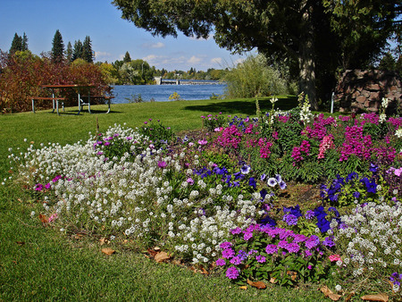 Park Flowers