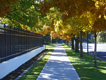 Fall Walk - fall, trees, fall colors, sidewalk