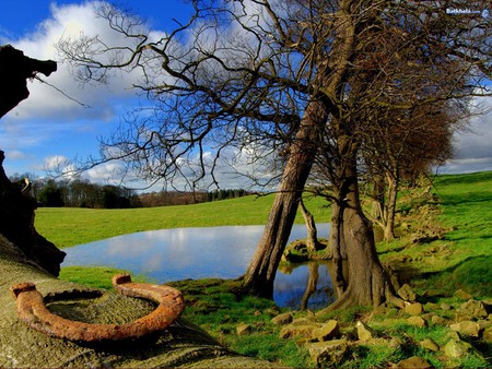 Nature - field, lake, pond, nature