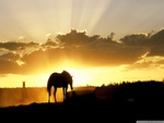 Sundown on the farm