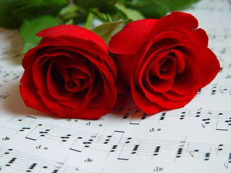 Roses for Michael... - sunlight, roses, love, life, michael jackson, music, red, song, sun