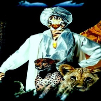 Bengal Cat Trainer