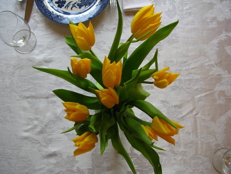 tulips - tulips, beautiful, table, vase, yellow, still life