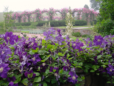 Flowers garden - arbor, roses, beautiful, flowers, garden