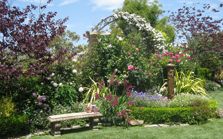 Sunny day - flowers, beautiful, garden, bench, home