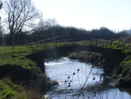 Brook - sky, river, water, tree, grass, bridge, brook