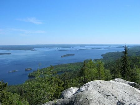 National park - koli, lake, trees, finland