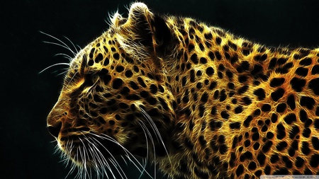 Leopard - cat, leopard, tiger, dog