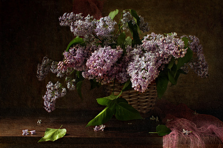 still life - nice, photography, bouquet, basket, scarf, still life, spring, cool, beautiful, old, photo, lilac, flower, elegantly, harmony