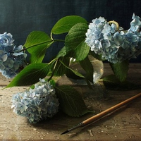 still life