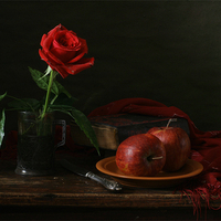 still life