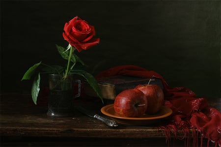 still life - nice, photography, rose, still life, book, pretty, cool, apple, old, harmony, drops, glass, wet, scarf, lovely, fruit, red, beautiful, photo, flower