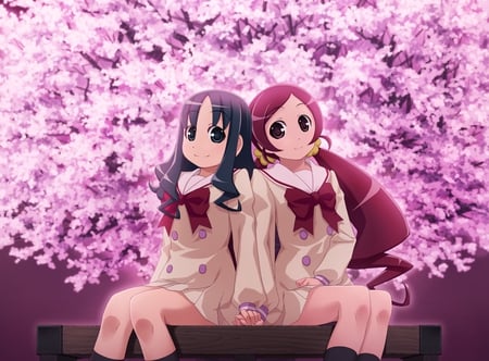 Under The Cherry Tree - anime, live account, school, walls, series