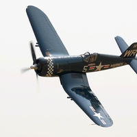 F4F Corsair in Flight
