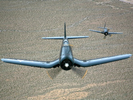 Friendly Pursuit - bearcat, ww2, f4f, grumman, f8f, corsair, wwii, vought