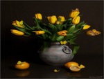 Yellow tulips