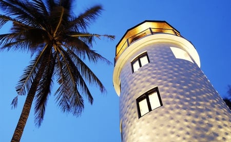 Lighthouse - nice, windows, sky, lighthouse, palm tree, light, looking up, white, blue