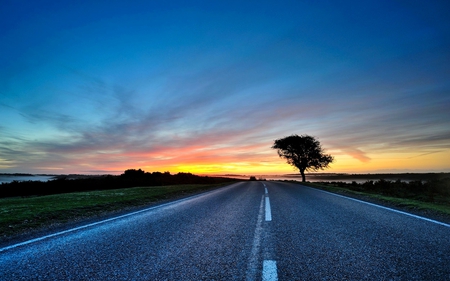 SUNSET DRIVE - trees, sunset, road, night, tree, sky