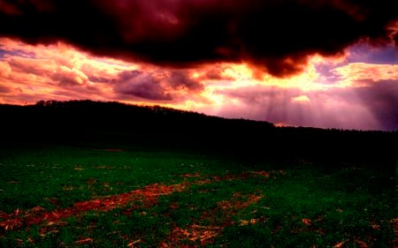 red sky - red, sky, nature, sun, hdr, green, grass