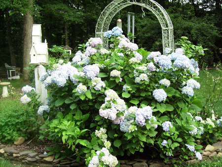 flowers garden - arbor, home, beautiful, flowers, birdhouse, garden