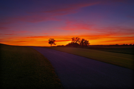 Magic of sun - beauty, sky, trees, landscape, sun, magic, sunset, road, nature, amazing, glowing, clouds, orange, golden