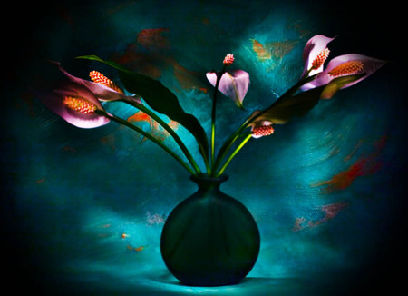 Flowers in vase - flowers, vase, colors, nature