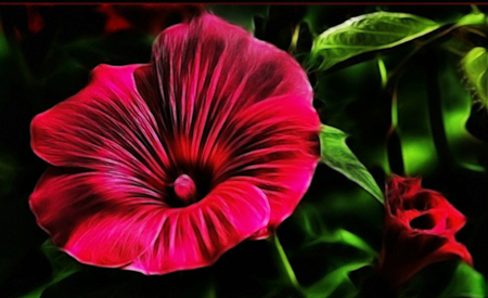 Red flower - flowers, 3d, paint, red