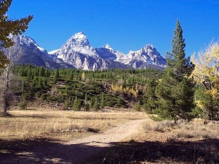 the mountains - trees, hills, nature, grass, mountains, sky